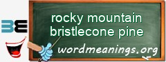 WordMeaning blackboard for rocky mountain bristlecone pine